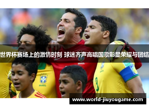 世界杯赛场上的激情时刻 球迷齐声高唱国歌彰显荣耀与团结
