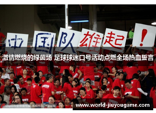 激情燃烧的绿茵场 足球球迷口号活动点燃全场热血誓言