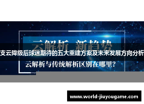 支云降级后球迷期待的五大重建方案及未来发展方向分析