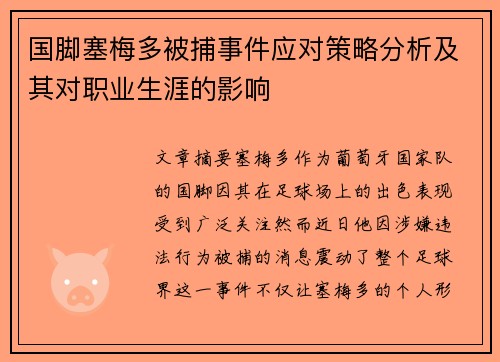 国脚塞梅多被捕事件应对策略分析及其对职业生涯的影响