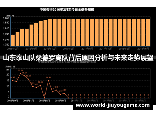 山东泰山队桑德罗离队背后原因分析与未来走势展望