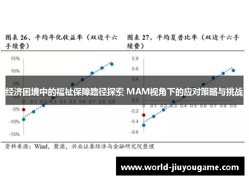 经济困境中的福祉保障路径探索 MAM视角下的应对策略与挑战