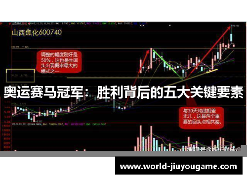 奥运赛马冠军：胜利背后的五大关键要素
