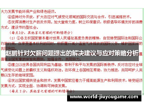赵鹏针对欠薪问题提出的解决建议与应对策略分析