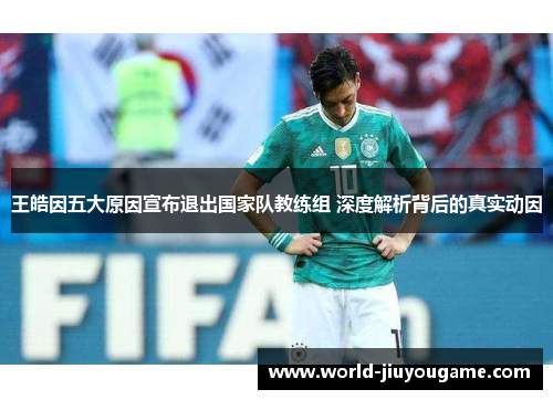 王皓因五大原因宣布退出国家队教练组 深度解析背后的真实动因